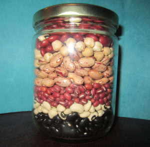 Beans1
