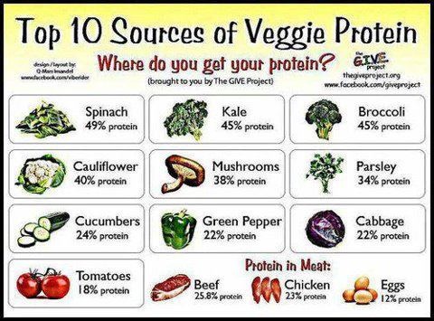 Image result for protein in plants vs meat chart