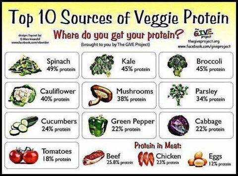 Protein Chart Vegetables Vs Meat