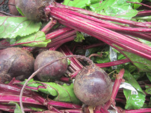Beets Red