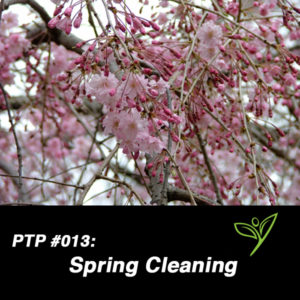 PTP013
