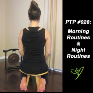 PTP028