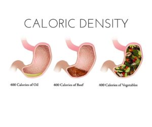 Caloric Density